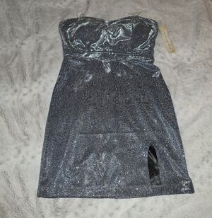 Silver Strapless Dress NWT